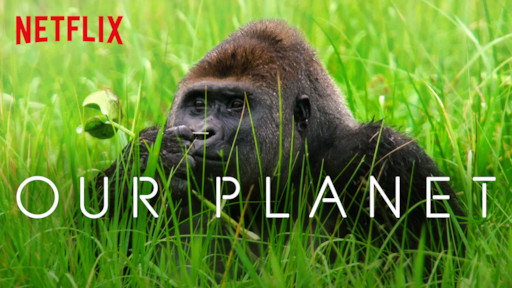 5 nature documentaries on Netflix to watch during quarantineExpotur | El  Mejor Tour a Ciudad Perdida