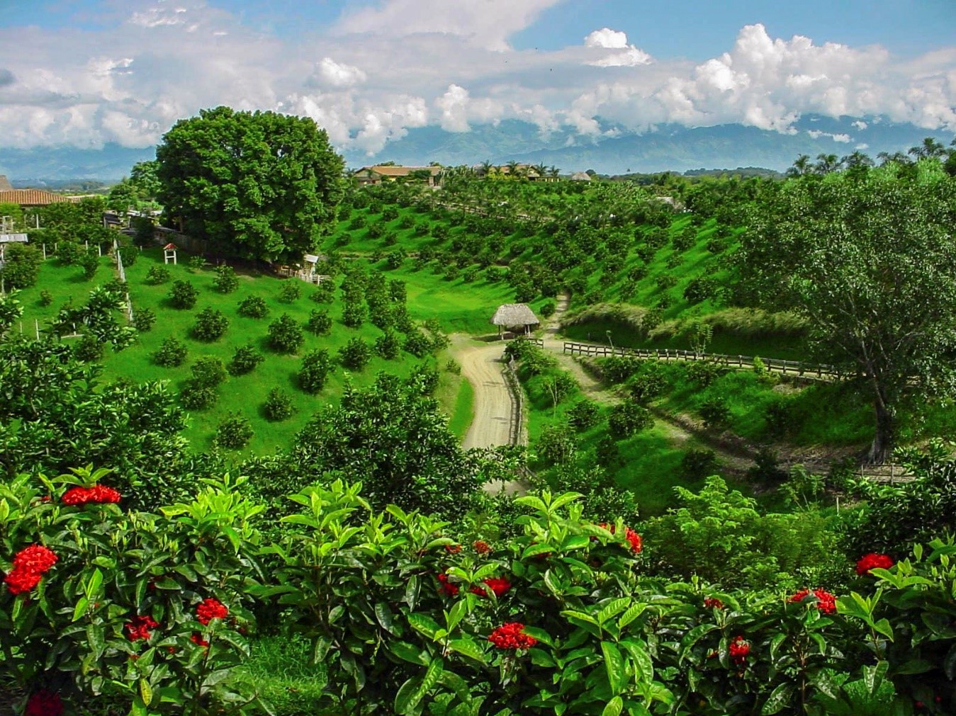 eje-cafetero-colombia