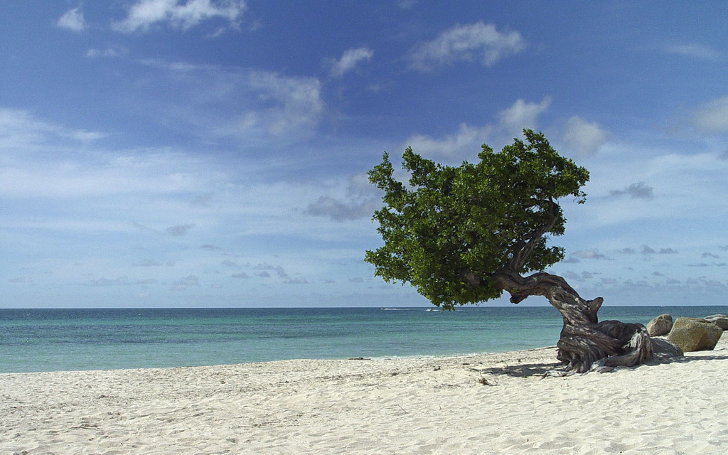 Eagle Beach – Oranjestad, Aruba. Las mejores playas del mundo