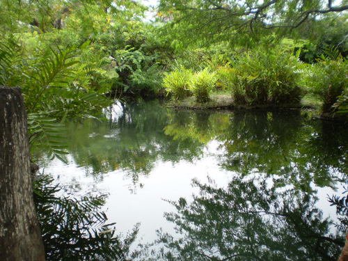 aguas termales de cienaga magdalena colombia