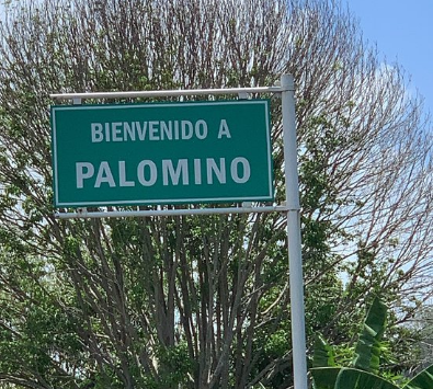 como llegar a Palomino Colombia
