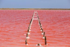 salinas de galerazamba mar rosado de colombia
