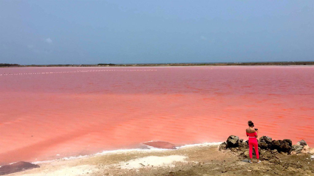 mar rosado en colombia: salinas de galerazamba