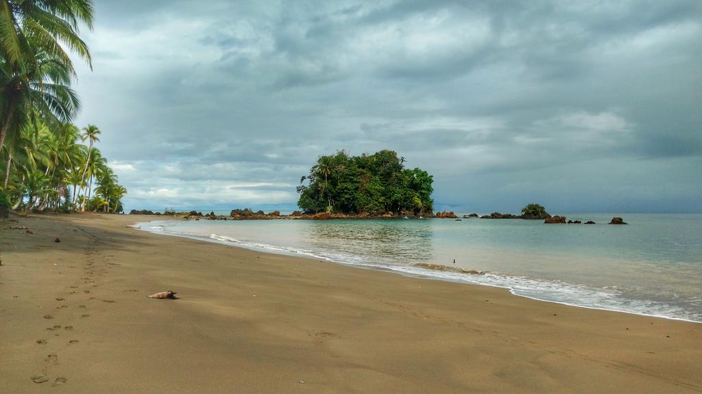 Nuquí, an exotic and relaxing place to discover | Whale Watching in ...