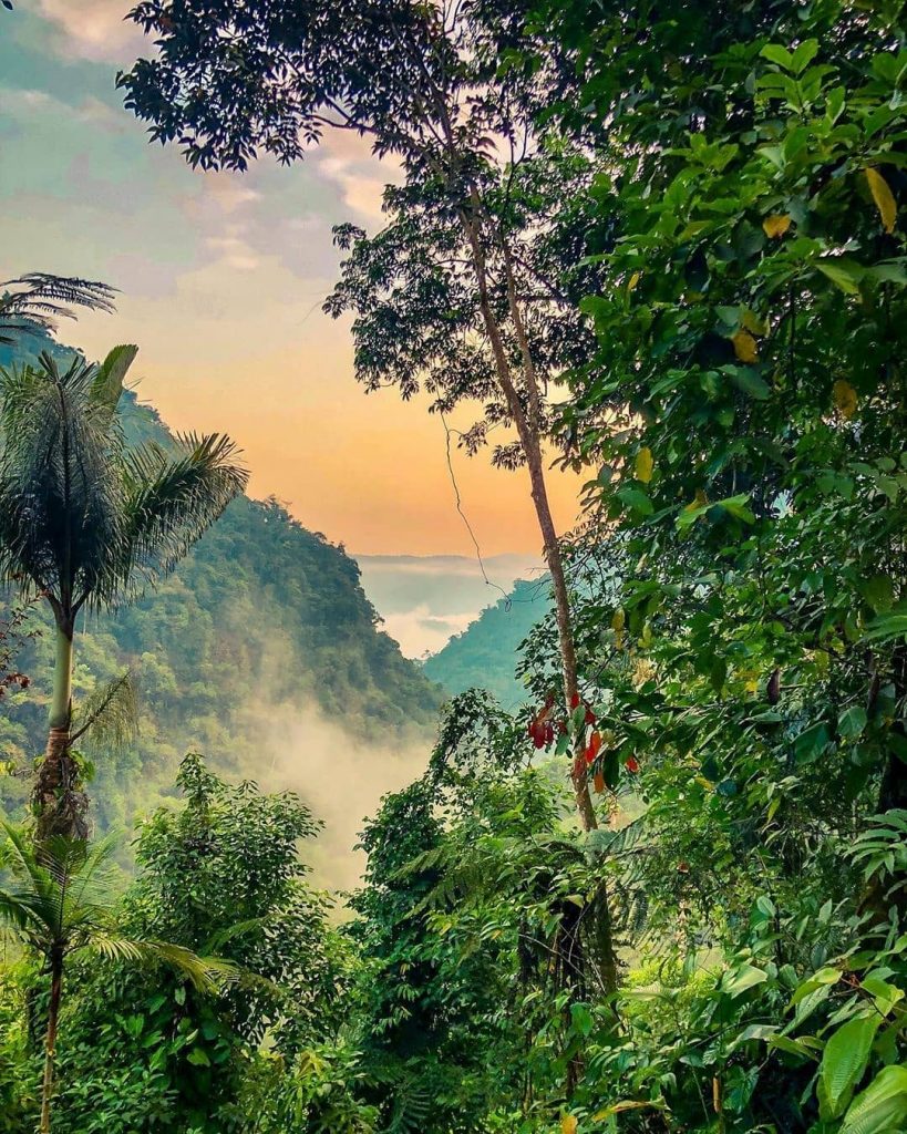 Paisaje en la ciudad Perdida. Expotur Colombia