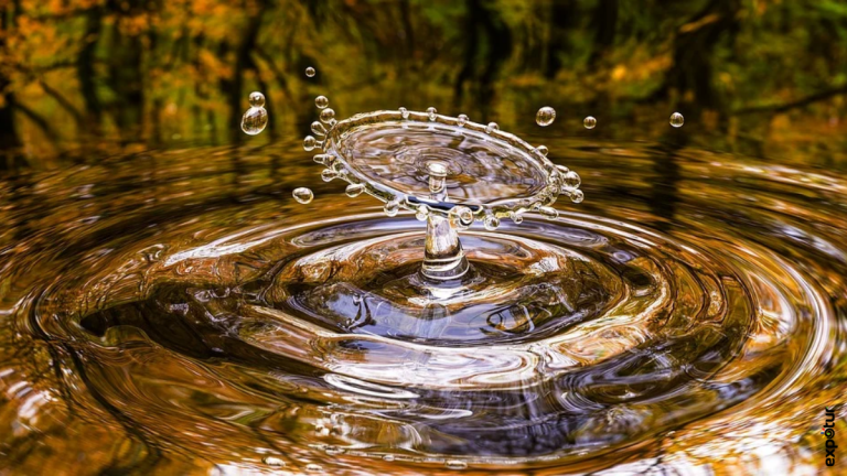 Consejos para ahorrar agua expotur