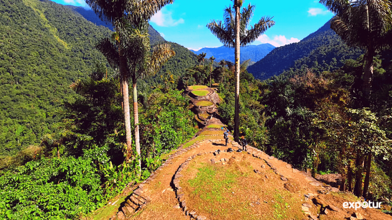 Nuevo precio del tour a Ciudad Perdida en Colombia