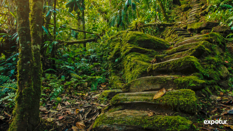 teyuna ciudad perdida colombia