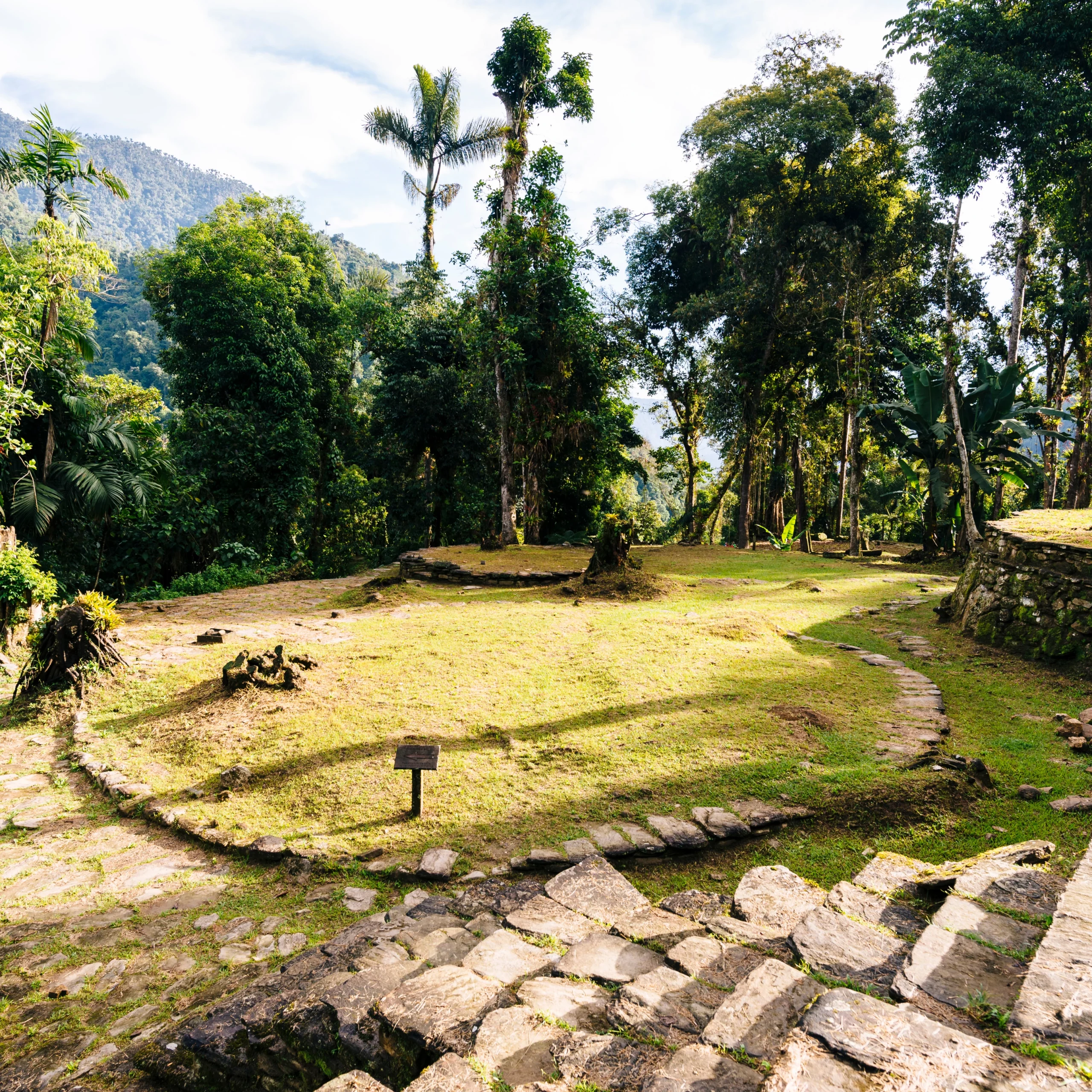 Expotur Lost City: La Agencia Número 1 en Colombia para Hacer Este Trek