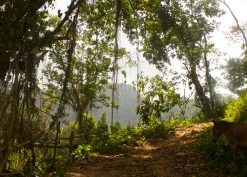 Get to know the 5 best hikes in Colombia
