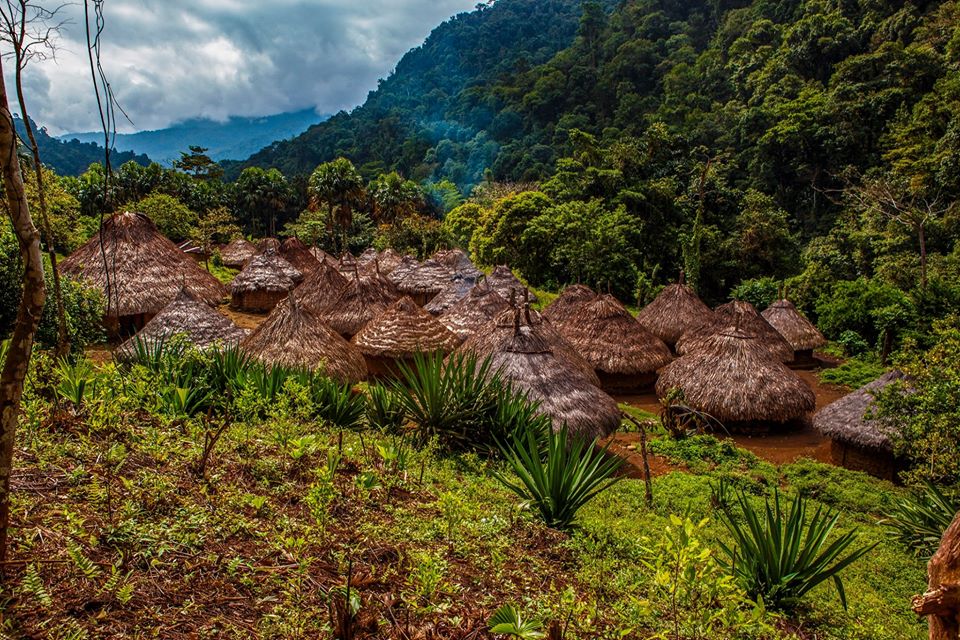 Mutanyi. the Lost City Colombia