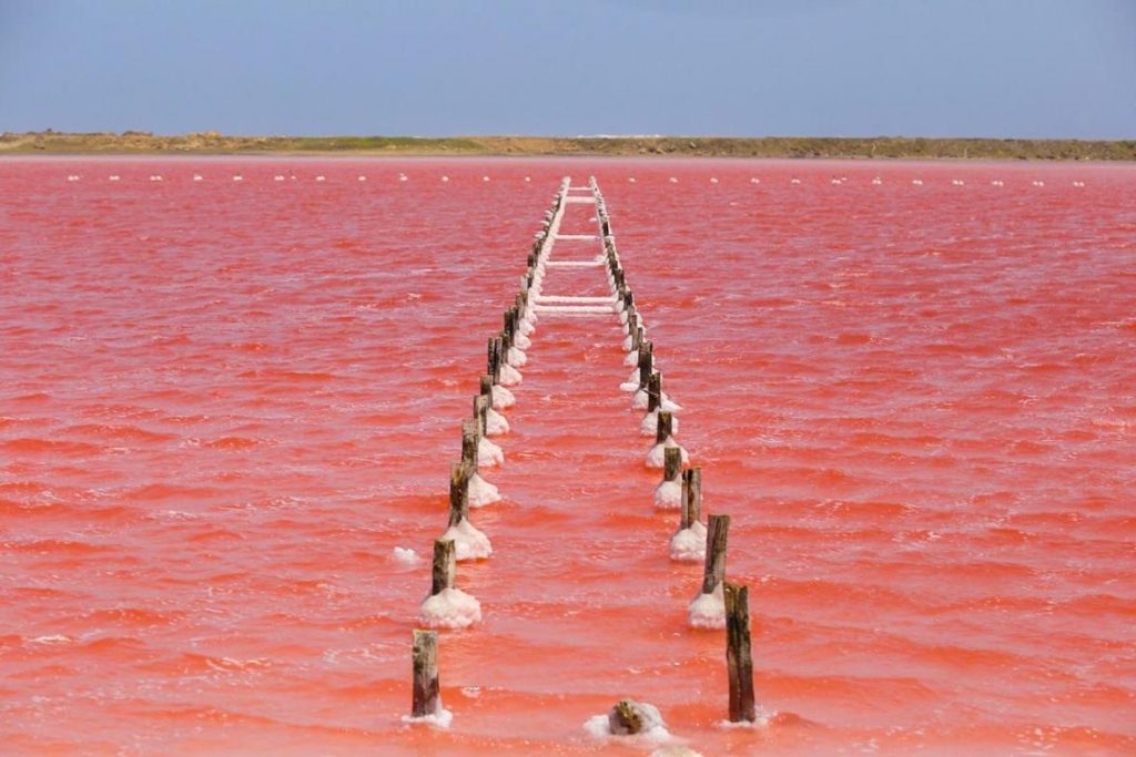 salinas de galerazamba mar rosado de colombia
