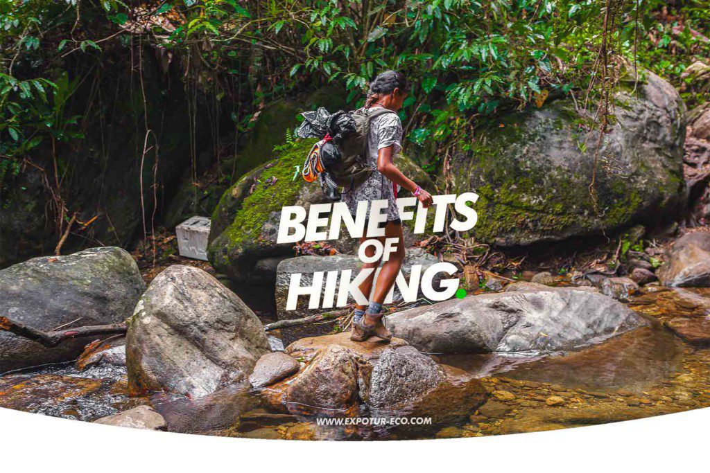 beneficios-de-practicar-senderismo-expotur-lost-city-trel-colombia-benefits-of-hiking