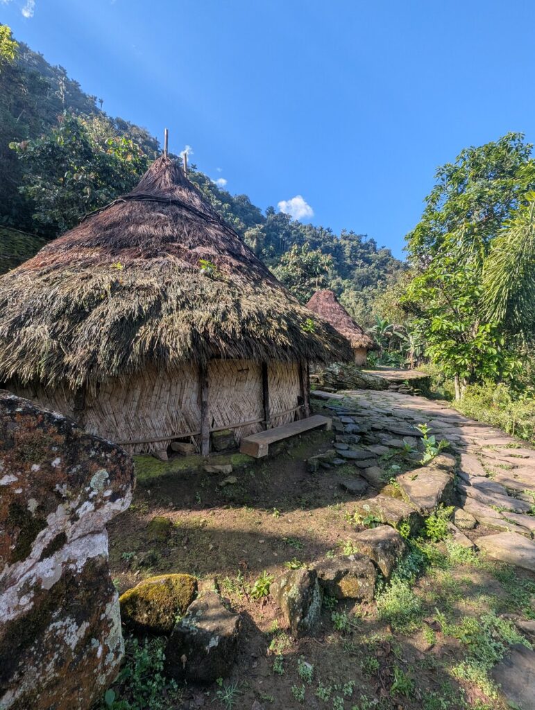 Imagen #3 de TravelingCat22