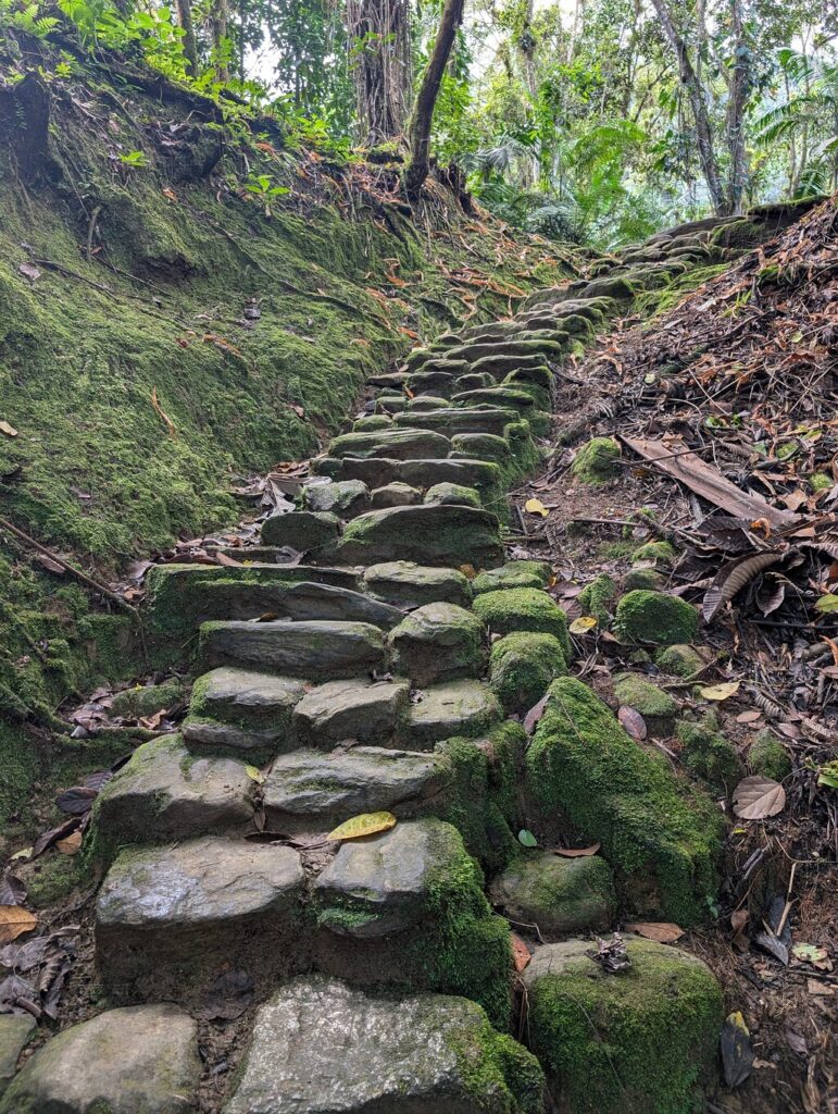 Imagen #10 de TravelingCat22