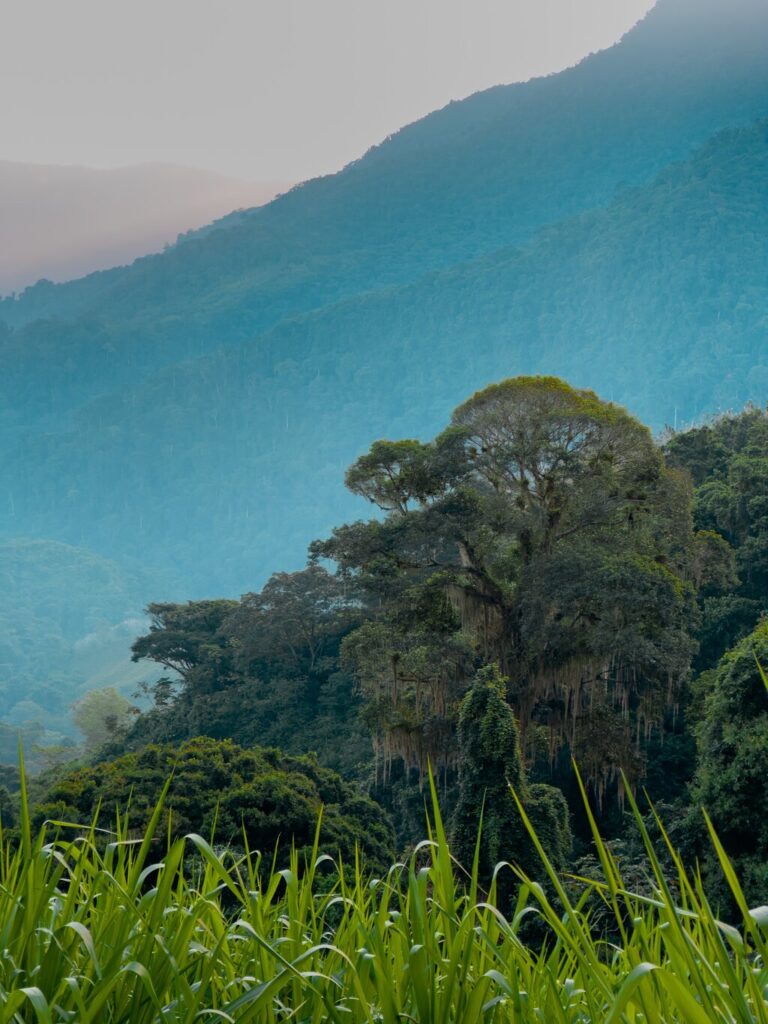 Imagen #1 de Ahmed B