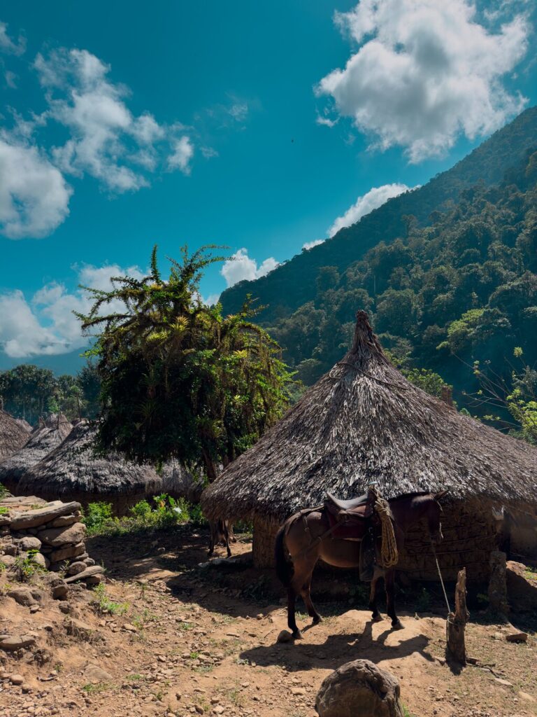 Imagen #3 de Ahmed B