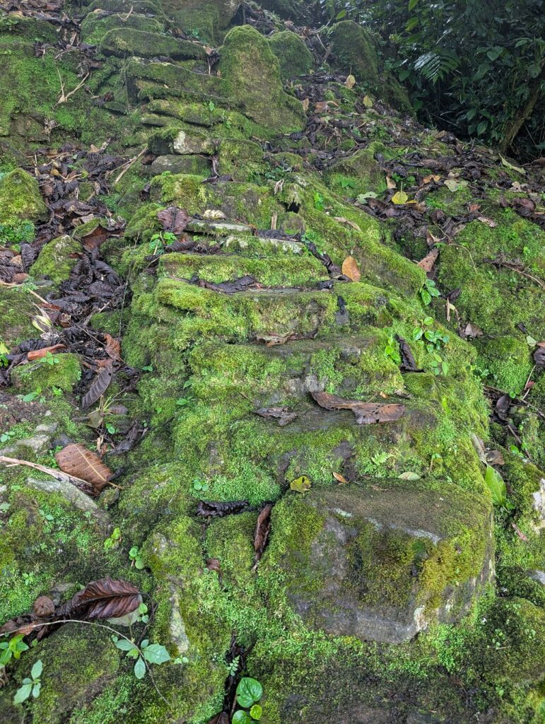 Imagen #1 de TravelingCat22