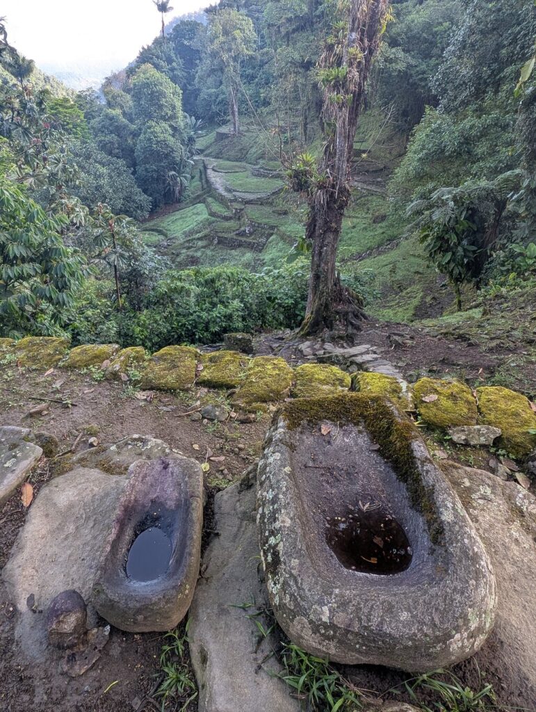 Imagen #2 de TravelingCat22