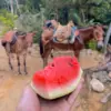 Excursión a la Ciudad Perdida de 3 días Lost City Trek