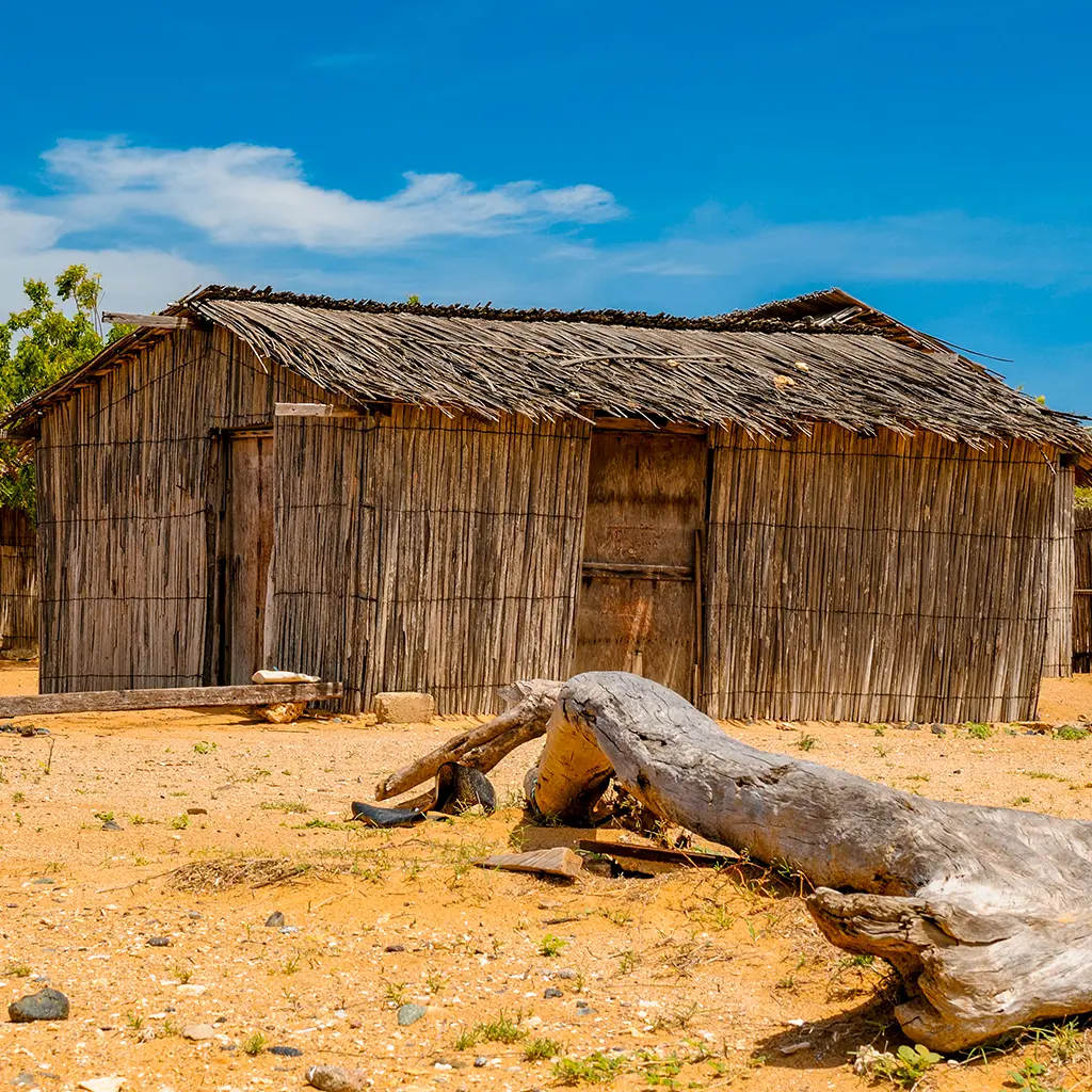 cabo de la vela tour 17