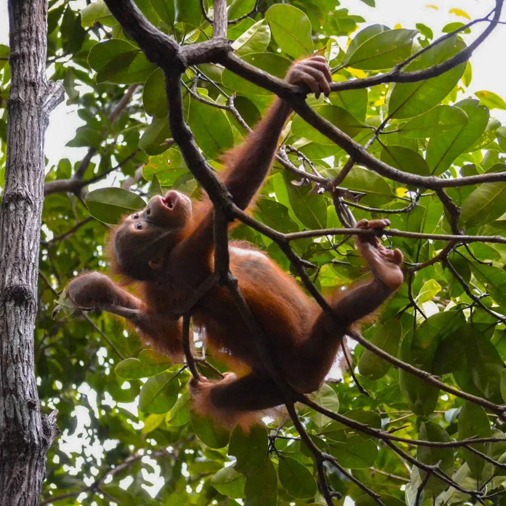 cabo san juan tayrona
