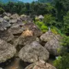 lost city tour colombia Recorrido de 5 días a la Ciudad Perdida