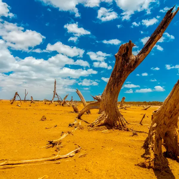 Guajira Tour 4 Days Excursion Punta Gallinas