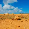 Guajira Tour 4 Days Excursion Punta Gallinas