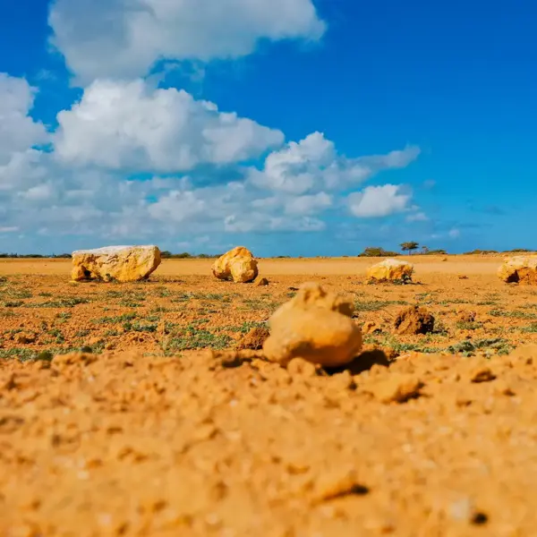 Guajira Tour 4 Days Excursion Punta Gallinas