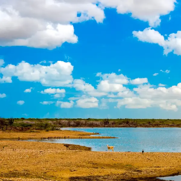 Guajira Tour 4 Days Excursion Punta Gallinas