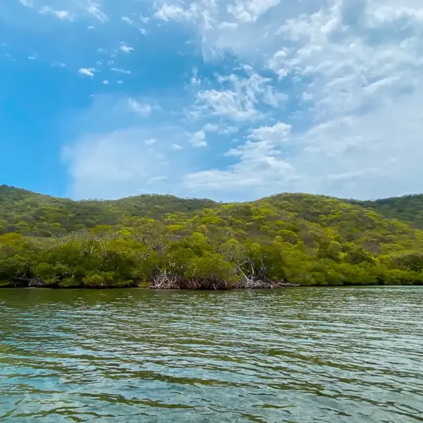 Gairaca Beach: Tayrona Park Colombia