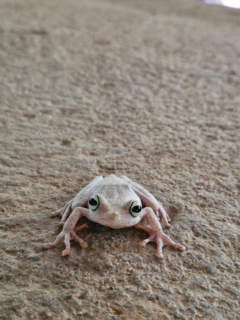 Image #2 from Tamara P