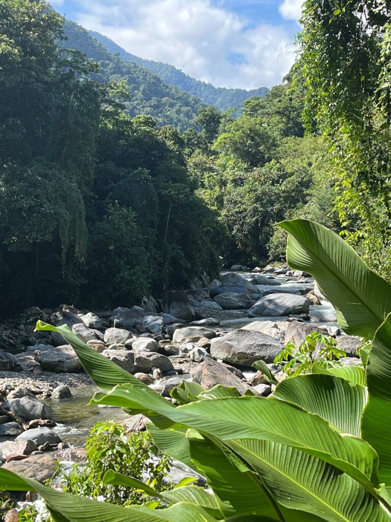 Image #1 from Babette S