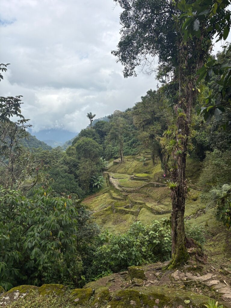 Image #2 from Babette S