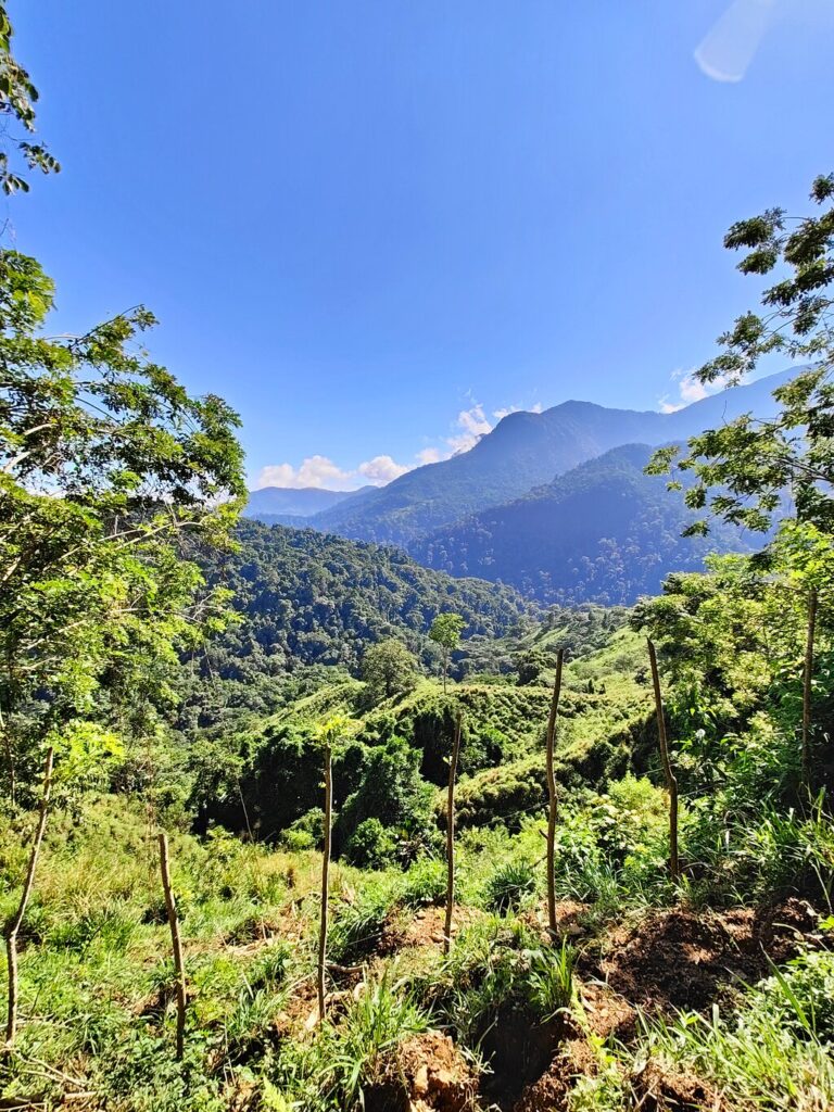 Image #3 from Maarten d