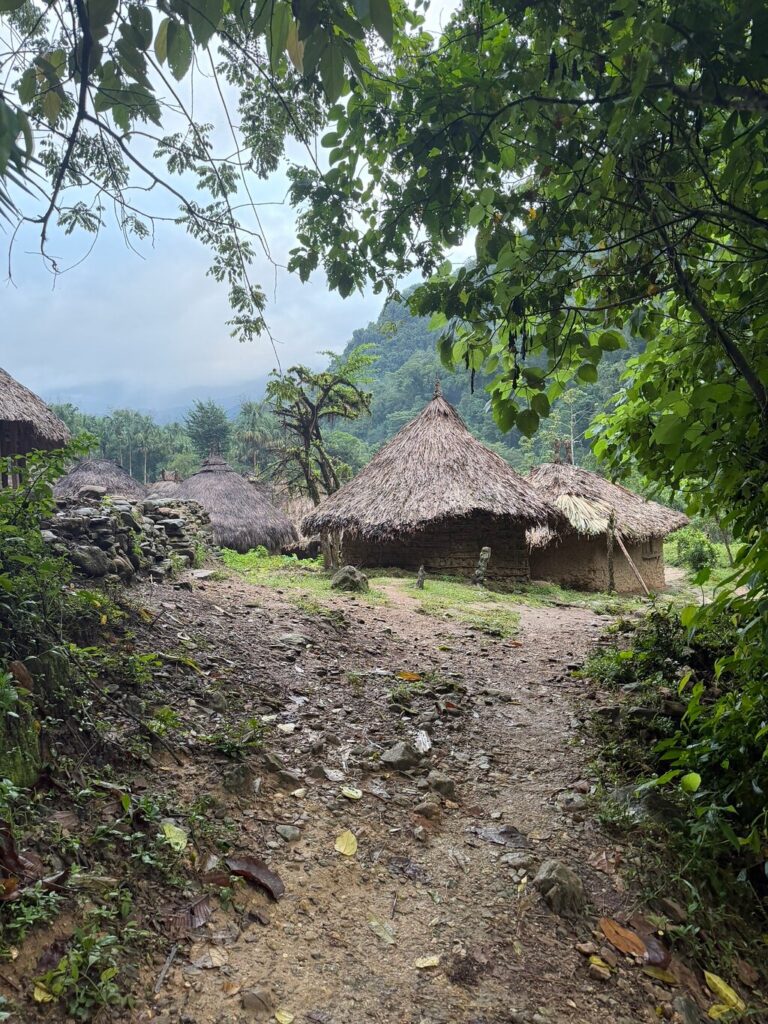 Image #3 from Emily M