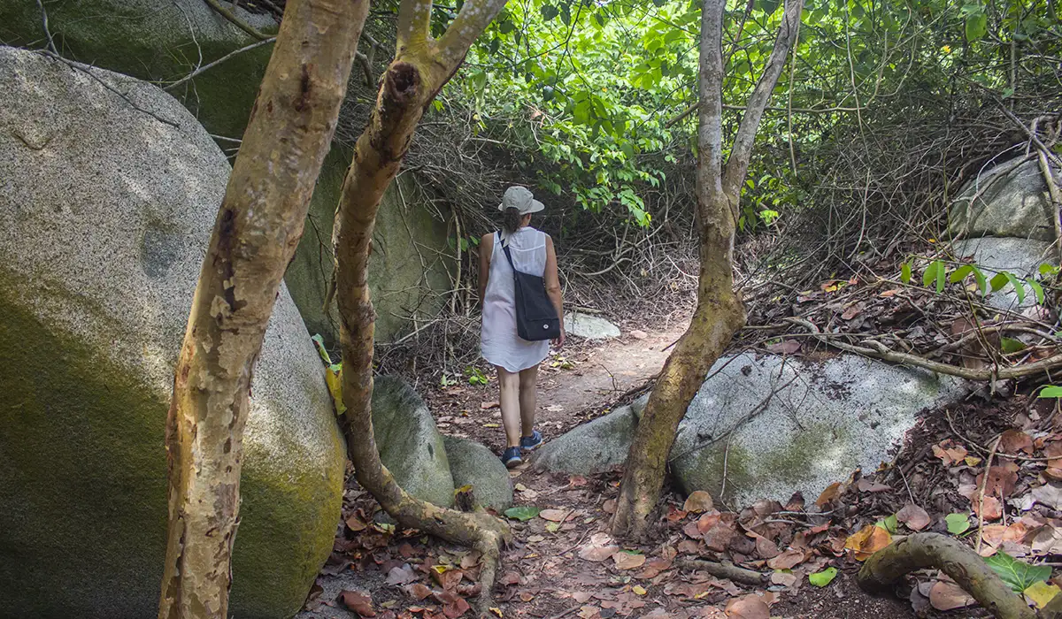 cierre temporal parque tayrona